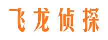 沐川侦探